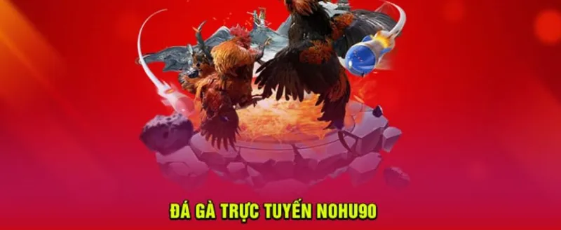Cá cược đá gà Nohu90